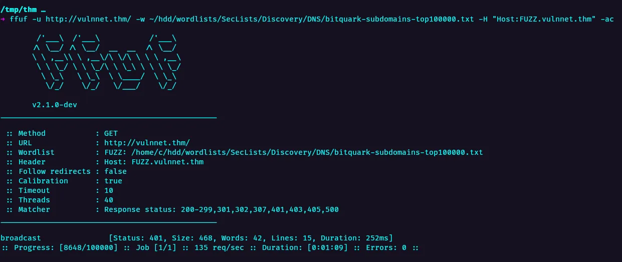 Subdomain Discovery